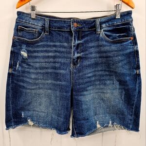 Judy Blue Jean Shorts Size 1XL